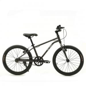 Велосипед дитячий двоколісний алюмінієвий 20 дюймів Profi MB 20LIGHTY DARK GREY FOREST