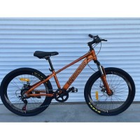 Детский спортивный алюминиевый велосипед 20 дюймов SHIMANO 7 скоростей "ТОП100" Детский спортивный алюминиевый велосипед 20 дюймов SHIMANO 7 скоростей "ТОП100"