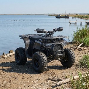 Электро квадроцикл для взрослых и подростков (электромобиль мотор 1450W скорость до 50км/час) (HB-EATV1450F-P-2(2)(MP3))